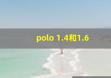 polo 1.4和1.6